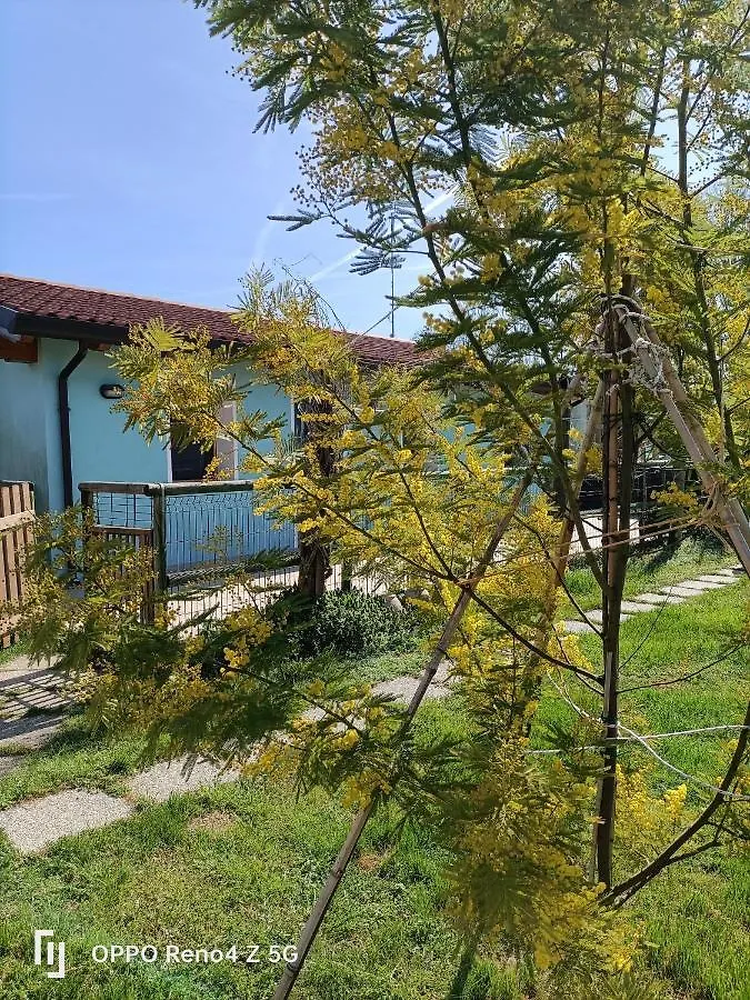 Casa Oasi Apartment Villa Cameroni Italy